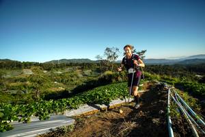 BIB: 
                            <button type="button" onclick="openModal(19113434)" class="btn btn-primary btn-sm float-right btn-popup" data-toggle="modal" data-target=".modal-high-quality">
                        <i class="fas fa-shopping-cart"></i> Add to Cart
                    </button>
                                            <button type="button" onclick="isThisMe(19113434, true)" class="btn btn-success btn-sm float-right btn-popup btn-isme hidden" data-toggle="tooltip" data-placement="bottom" title="นี่คือรูปของคุณใช่ไหม คลิกที่นี่เพื่อเอาเข้าอัลบั้ม">
                        <i class="fas fa-plus"></i> Add to album
                    </button>
                    <button type="button" onclick="isThisMe(19113434, false)" class="btn btn-warning btn-sm float-right btn-popup btn-isnotme hidden">
                        <i class="fas fa-ban"></i> Remove from album
                    </button>